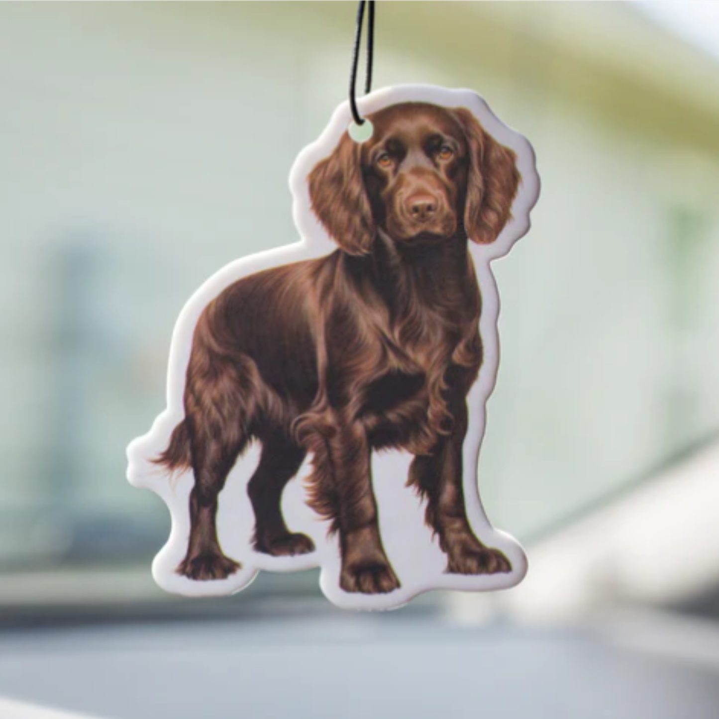 Boykin Air-Freshener