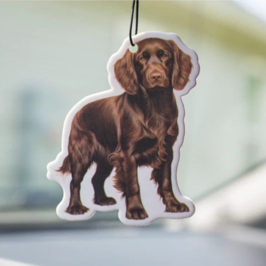Boykin Air-Freshener